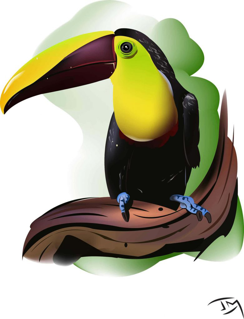 illustration vectoriel perroquet