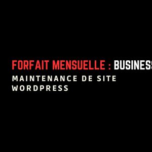 Forfait Business : maintenance de site WordPress