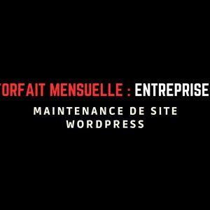 Forfait Entreprise : maintenance de site WordPress